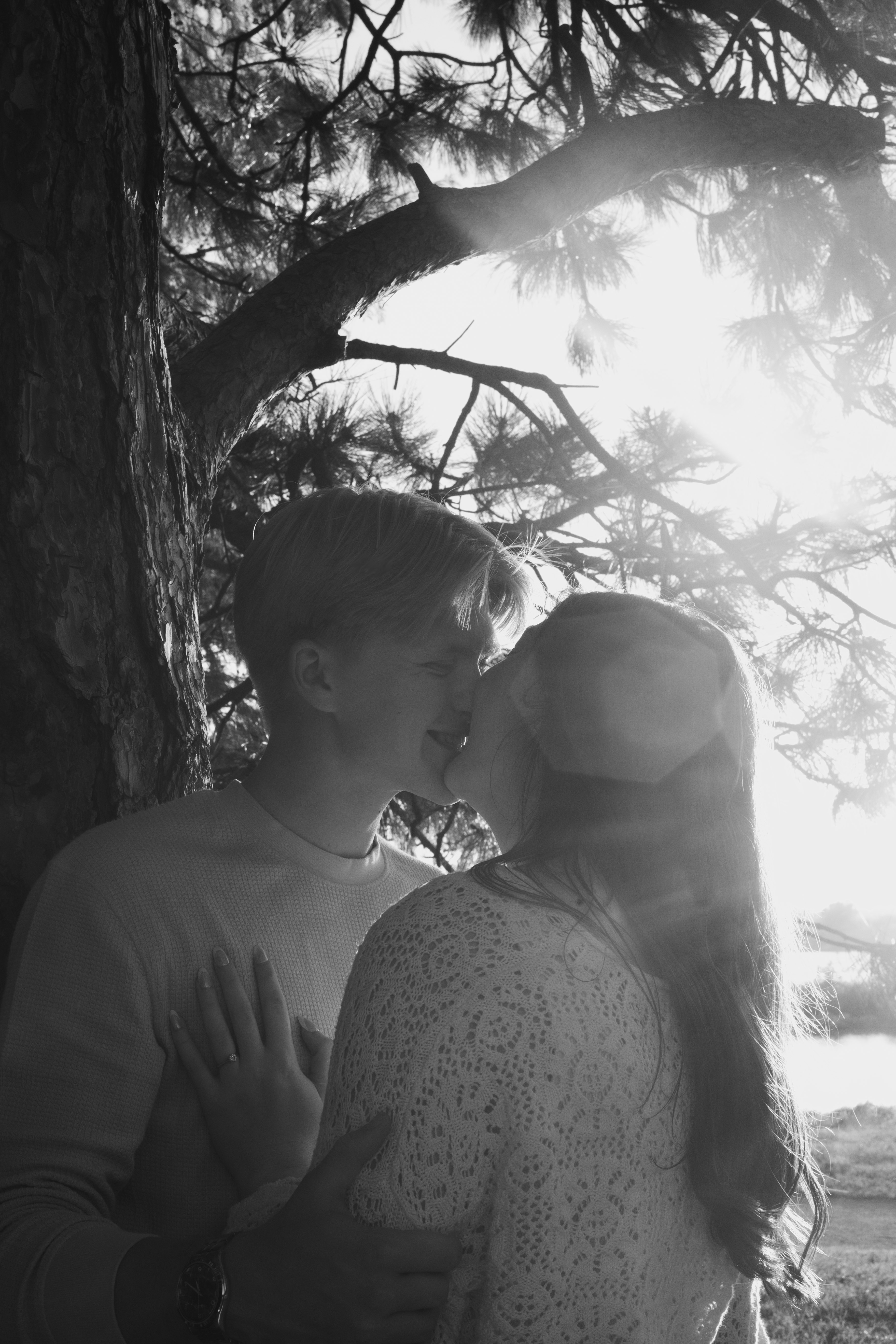 Under the Pines