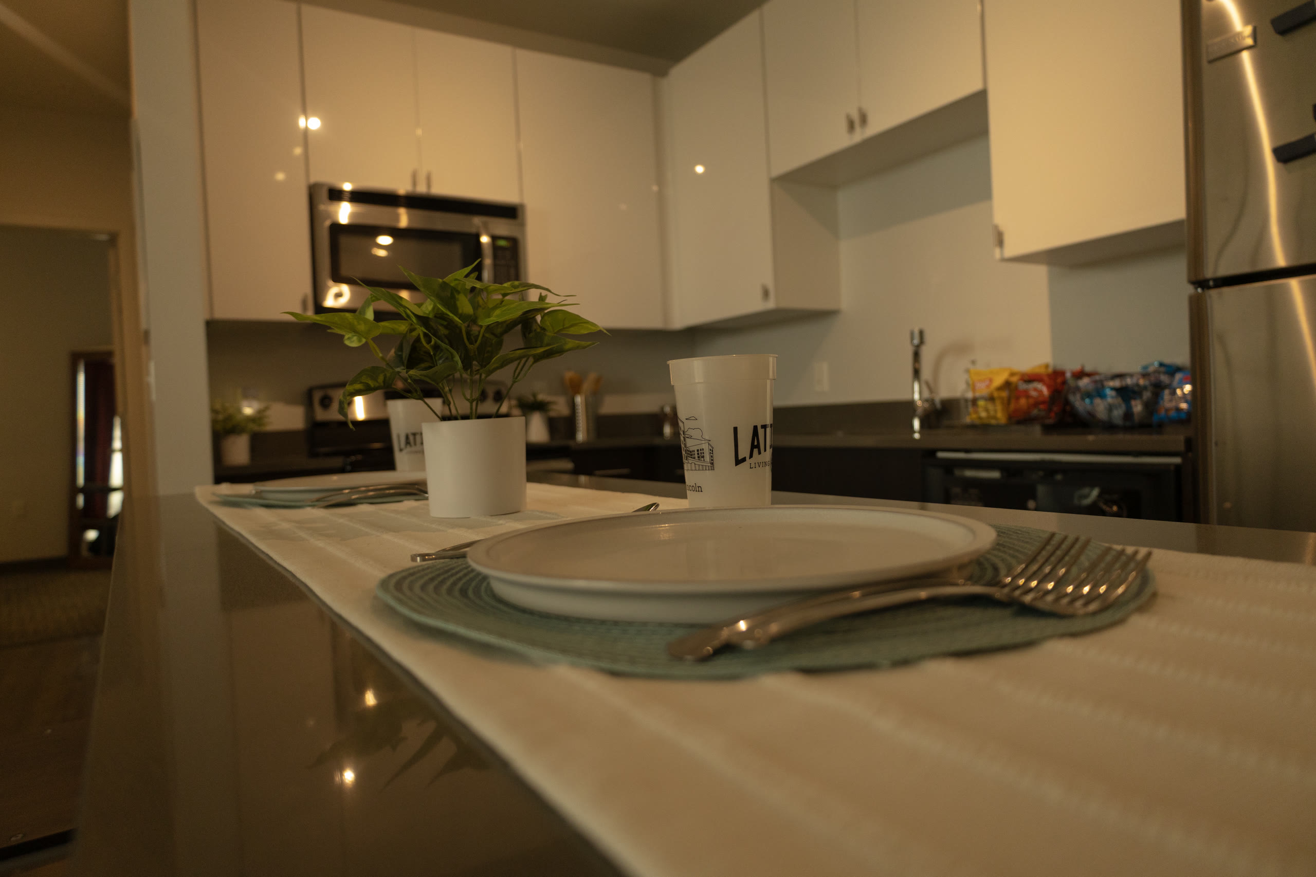 In the Unit Kitchen — Latitude Lincoln