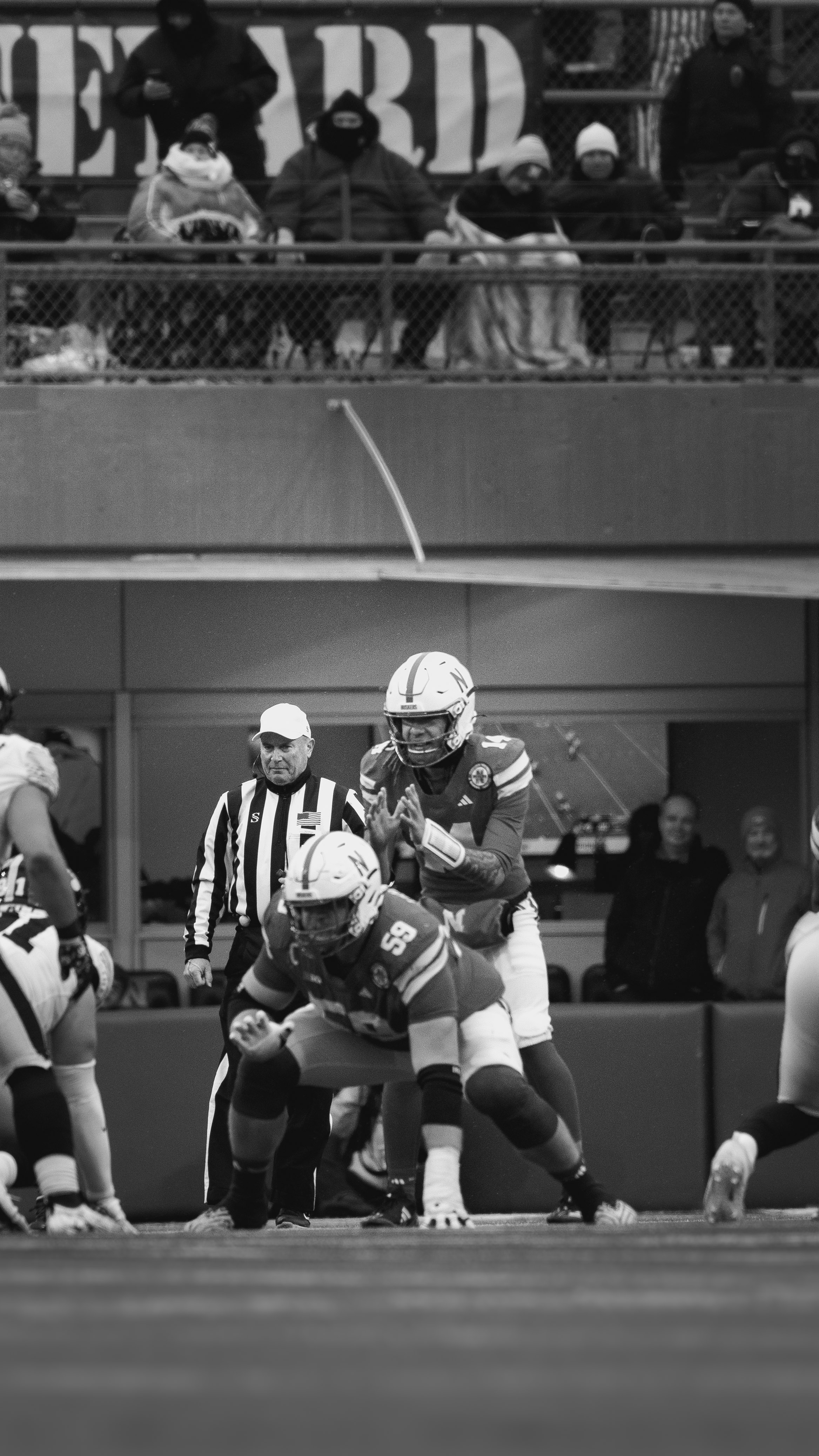 Under the Lights